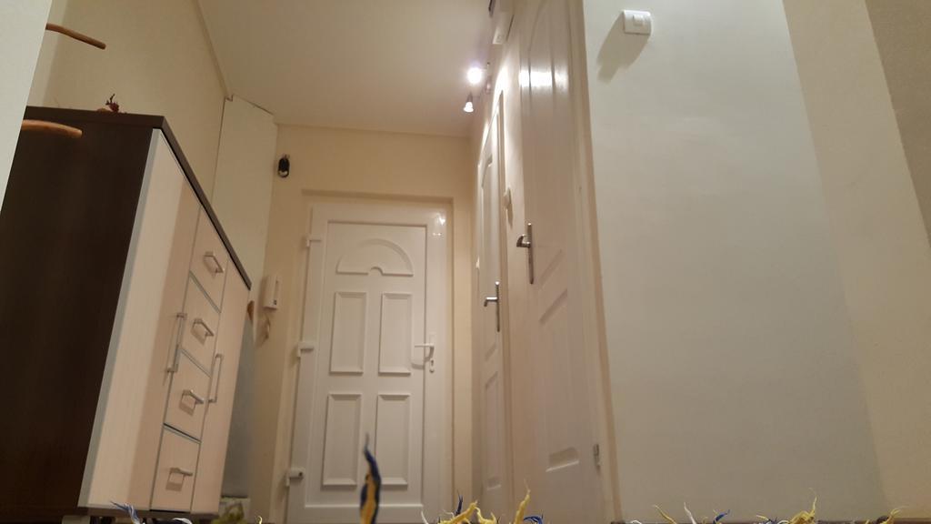 Aquarius Apartman Сегед Экстерьер фото