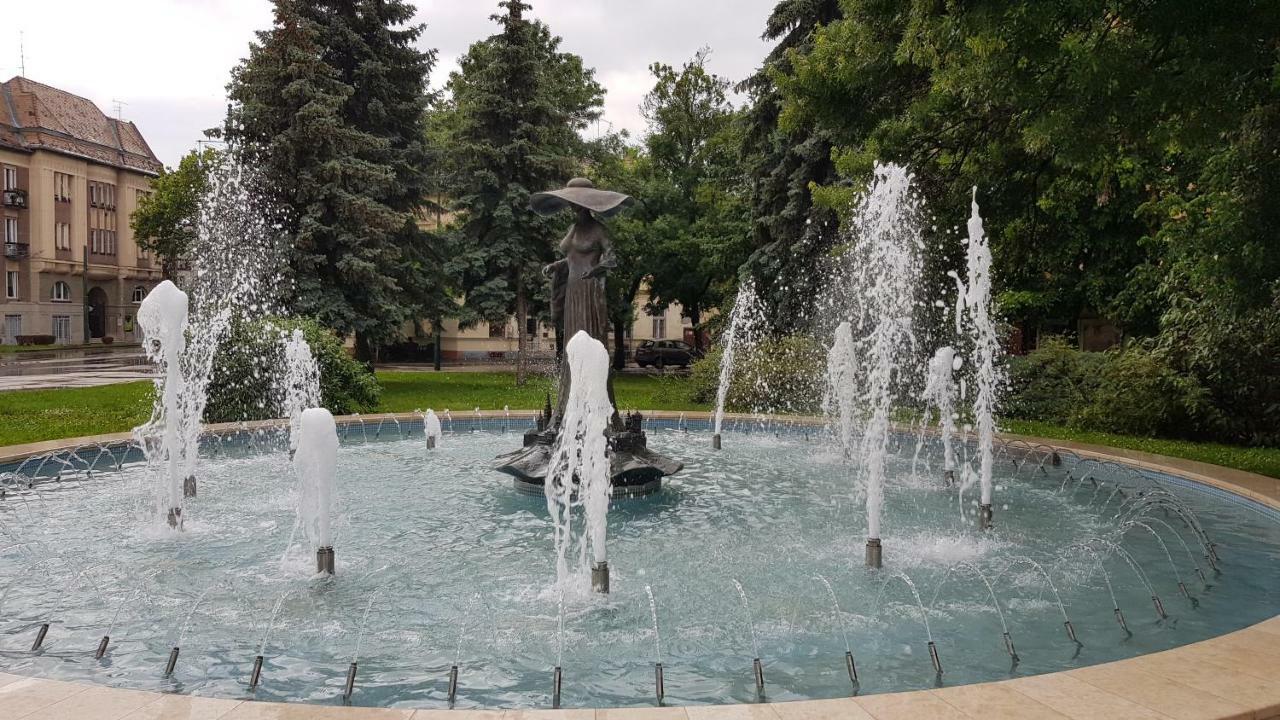 Aquarius Apartman Сегед Экстерьер фото